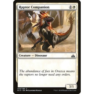 Raptor Companion