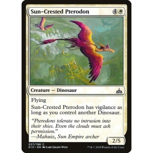 Sun-Crested Pterodon