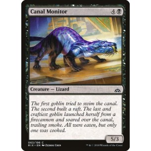 Canal Monitor