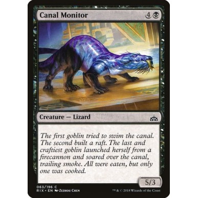 Canal Monitor