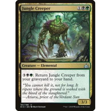 Jungle Creeper