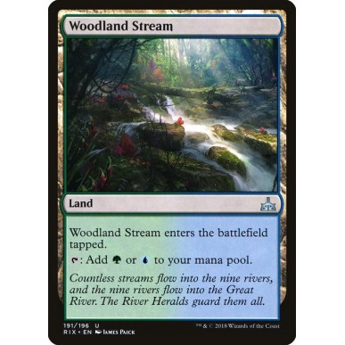 Woodland Stream