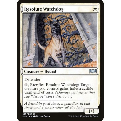 Resolute Watchdog