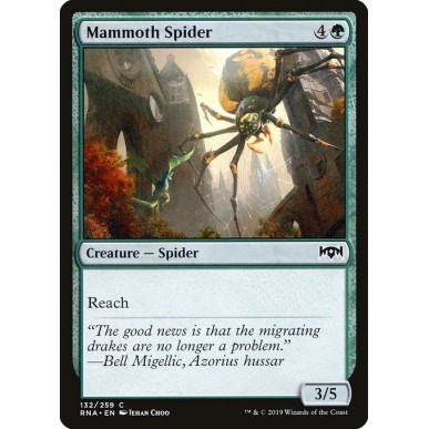 Ragno Mammut
