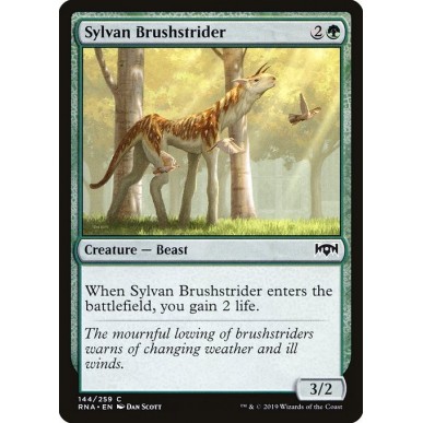 Sylvan Brushstrider