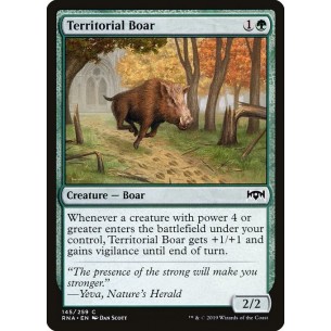 Territorial Boar