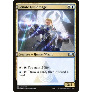 Maga della Gilda del Senato