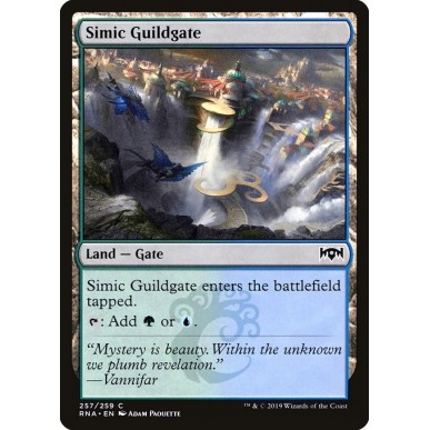 Cancello della Gilda Simic