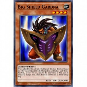 Big Shield Gardna