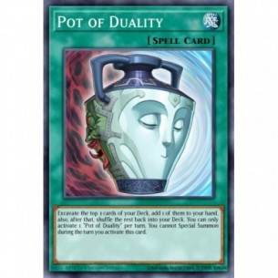 Pot of Duality