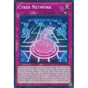 Cyber Network (V.1 - Common)