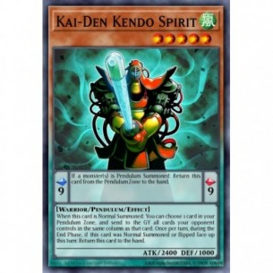 Spirito Kendo Kai-Den