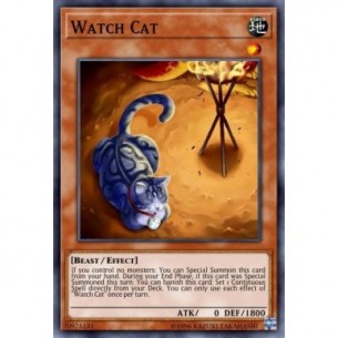 Orologiogatto