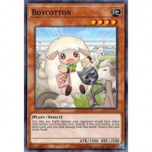 Boicottone