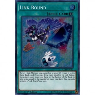 Vincolato dal Link
