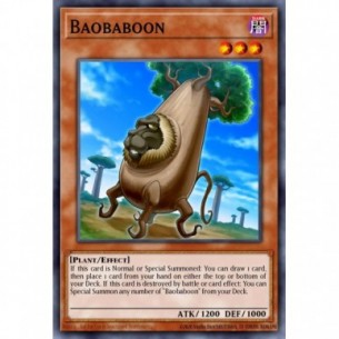 Baobabbuino