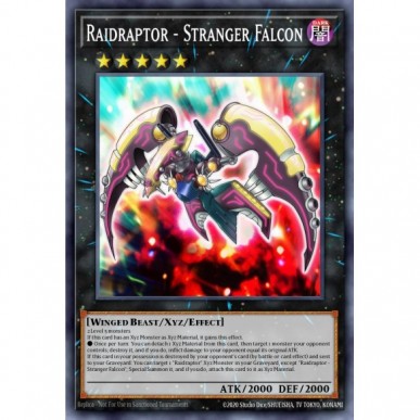 Raidraptor - Falco Sconosciuto