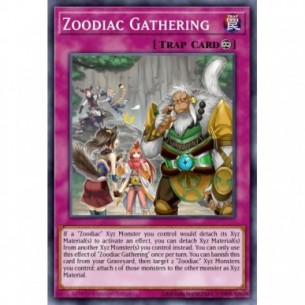 Raduno Zoodiaco