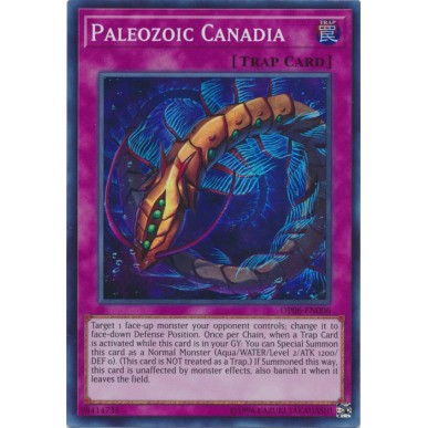 Canadia Paleozoica