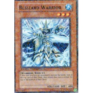 Blizzard Warrior