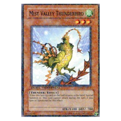 Uccello di Tuono della Valle delle...