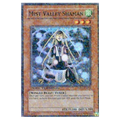 Sciamano della Valle delle Nebbie