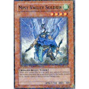 Mist Valley Soldier