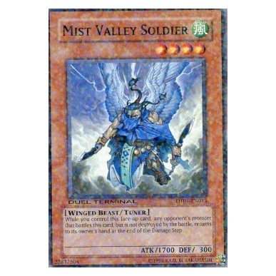 Mist Valley Soldier
