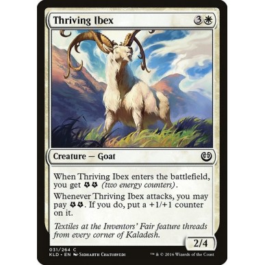 Thriving Ibex