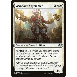 Visionary Augmenter