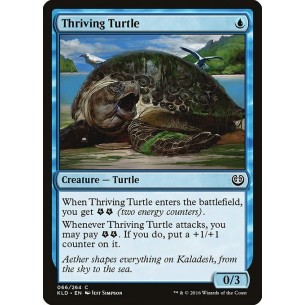 Thriving Turtle
