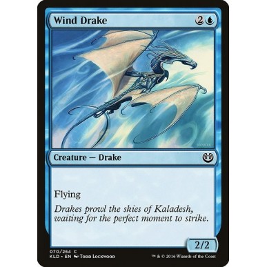 Wind Drake