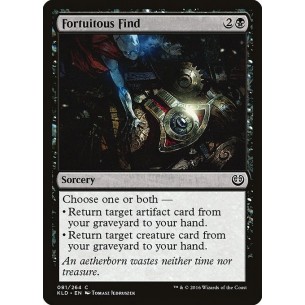 Ritrovamento Fortuito
