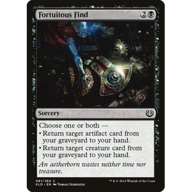 Ritrovamento Fortuito
