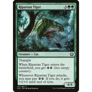 Riparian Tiger