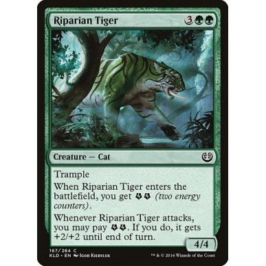 Riparian Tiger