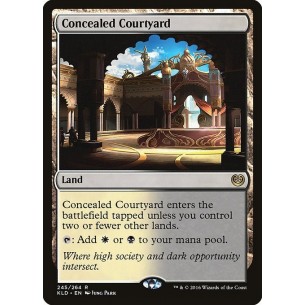 Concealed Courtyard