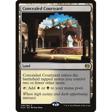 Concealed Courtyard