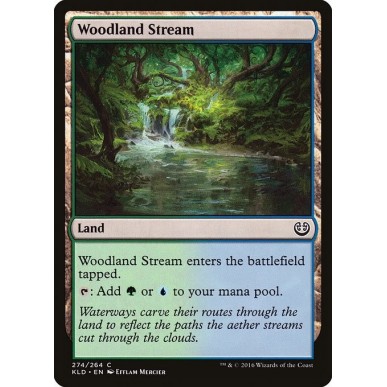 Woodland Stream