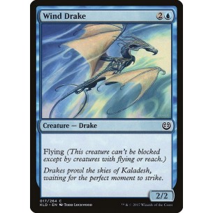 Wind Drake