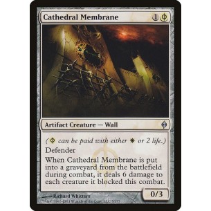 Membrana della Cattedrale