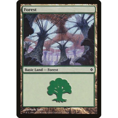 Forest