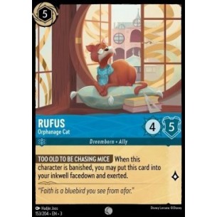 Rufus - Orphanage Cat