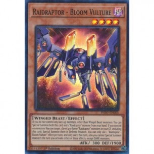 Raidraptor - Avvoltoio...