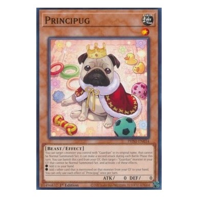 Princicarlino