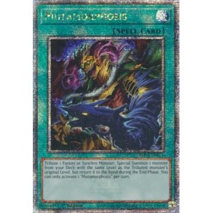 Mutamorfosi (V.2 - Quarter...