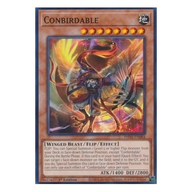 Convertuccellibile