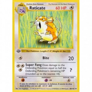 Raticate