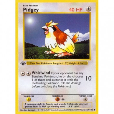 Pidgey