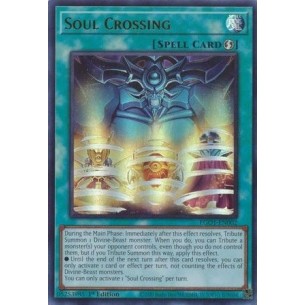 Soul Crossing